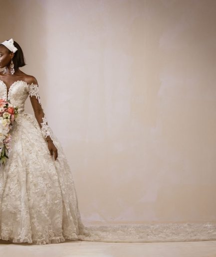 Embellished lace Bridal Ball Wedding Gown