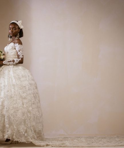 Embellished lace Bridal Ball Wedding Gown